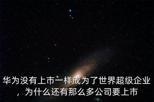 華為沒有上市一樣成為了世界超級企業(yè)，為什么還有那么多公司要上市