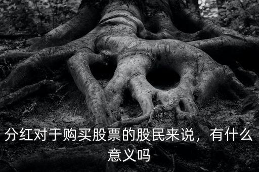 分紅對(duì)于購(gòu)買股票的股民來(lái)說(shuō)，有什么意義嗎
