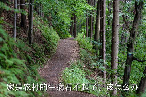家是農(nóng)村的生病看不起了，該怎么辦