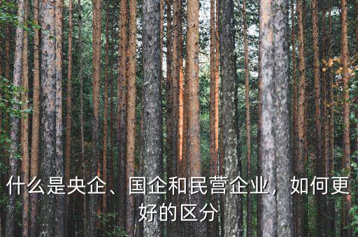 什么是央企、國企和民營企業(yè)，如何更好的區(qū)分