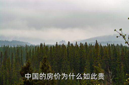 為什么中國的房地產(chǎn)市場(chǎng)大熱,疫情下的中國房地產(chǎn)
