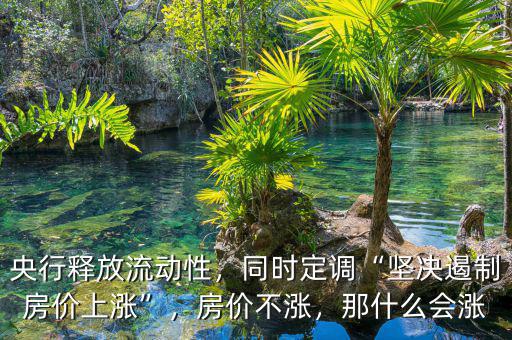 央行釋放流動性，同時定調“堅決遏制房價上漲”，房價不漲，那什么會漲