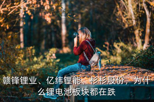 贛鋒鋰業(yè)、億緯鋰能、杉杉股份，為什么鋰電池板塊都在跌