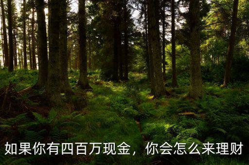 如果你有四百萬(wàn)現(xiàn)金，你會(huì)怎么來理財(cái)