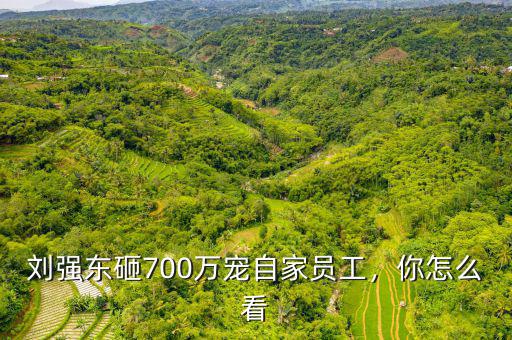 劉強(qiáng)東砸700萬寵自家員工，你怎么看