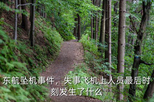 東航墜機事件，失事飛機上人員最后時刻發(fā)生了什么