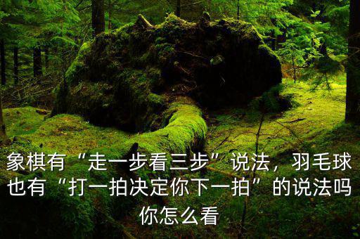 象棋有“走一步看三步”說(shuō)法，羽毛球也有“打一拍決定你下一拍”的說(shuō)法嗎你怎么看