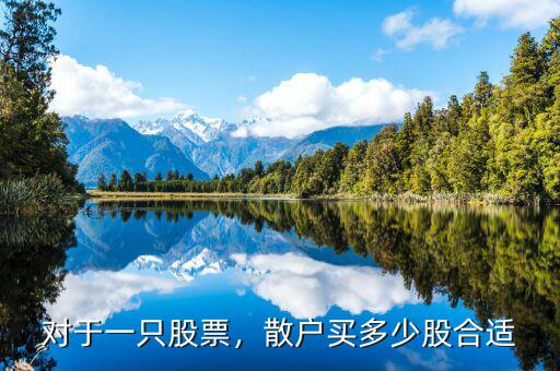 對于一只股票，散戶買多少股合適
