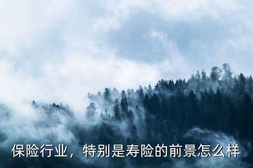 保險行業(yè)，特別是壽險的前景怎么樣