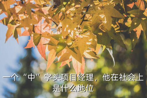 一個“中”字頭項目經(jīng)理，他在社會上是什么地位