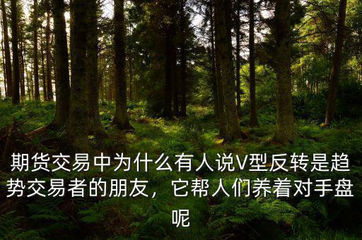 期貨交易中為什么有人說(shuō)V型反轉(zhuǎn)是趨勢(shì)交易者的朋友，它幫人們養(yǎng)著對(duì)手盤(pán)呢
