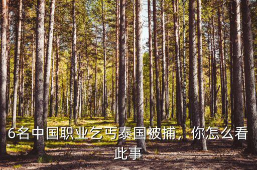 6名中國(guó)職業(yè)乞丐泰國(guó)被捕，你怎么看此事