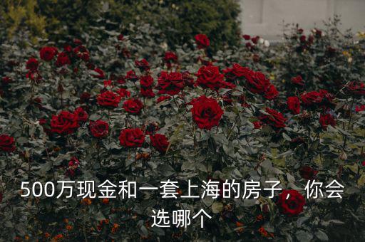 500萬現(xiàn)金和一套上海的房子，你會選哪個