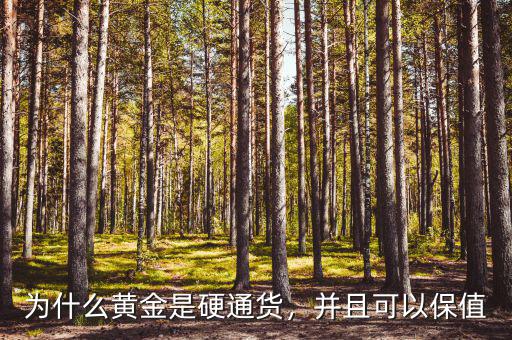 為什么黃金是硬通貨，并且可以保值