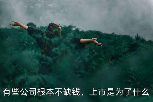 有些公司根本不缺錢，上市是為了什么