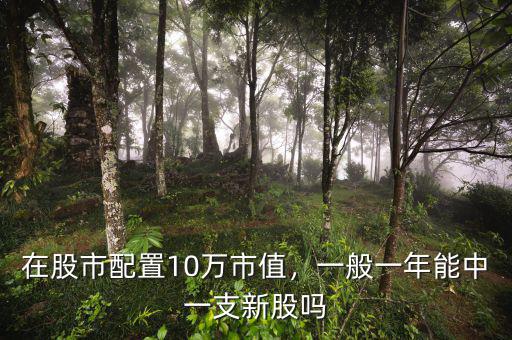 在股市配置10萬(wàn)市值，一般一年能中一支新股嗎