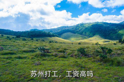 蘇州打工，工資高嗎