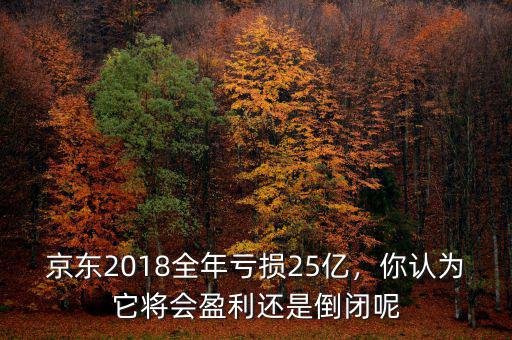 京東2018全年虧損25億，你認(rèn)為它將會(huì)盈利還是倒閉呢