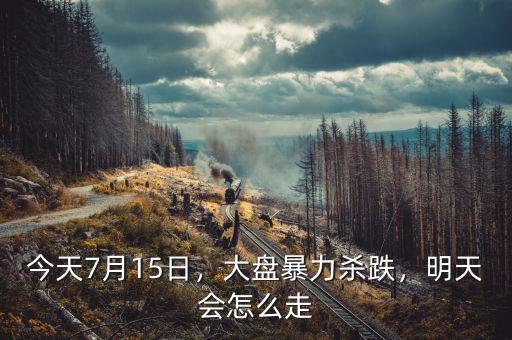 今天7月15日，大盤暴力殺跌，明天會怎么走