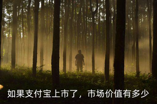 如果支付寶上市了，市場價值有多少