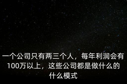 一個公司只有兩三個人，每年利潤會有100萬以上，這些公司都是做什么的什么模式