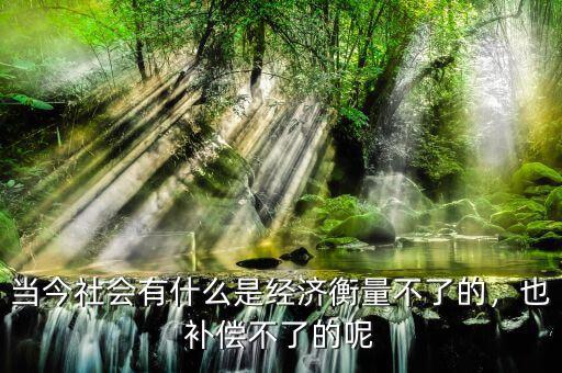 當今社會有什么是經(jīng)濟衡量不了的，也補償不了的呢