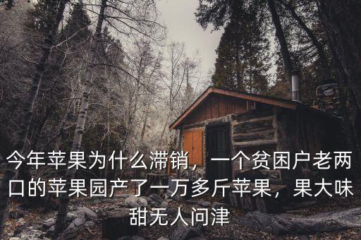 今年蘋果為什么滯銷，一個(gè)貧困戶老兩口的蘋果園產(chǎn)了一萬多斤蘋果，果大味甜無人問津