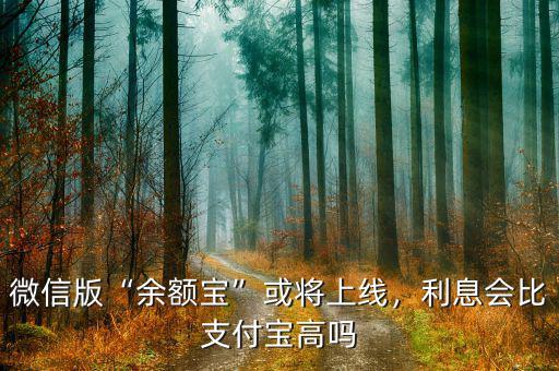 微信版“余額寶”或?qū)⑸暇€，利息會(huì)比支付寶高嗎
