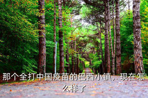 那個(gè)全打中國(guó)疫苗的巴西小鎮(zhèn)，現(xiàn)在怎么樣了