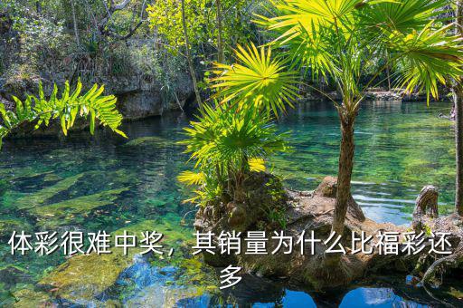 體彩很難中獎(jiǎng)，其銷量為什么比福彩還多