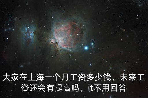 大家在上海一個月工資多少錢，未來工資還會有提高嗎，it不用回答