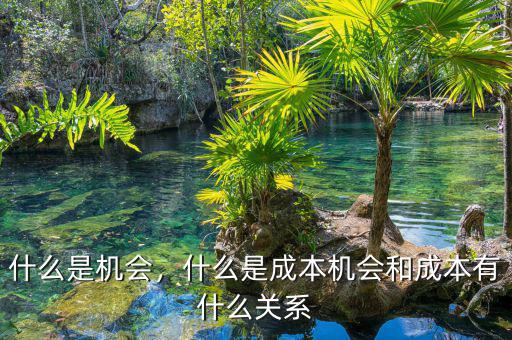 什么是機(jī)會，什么是成本機(jī)會和成本有什么關(guān)系