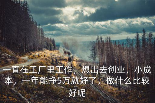 一直在工廠里工作，想出去創(chuàng)業(yè)，小成本，一年能掙5萬就好了，做什么比較好呢