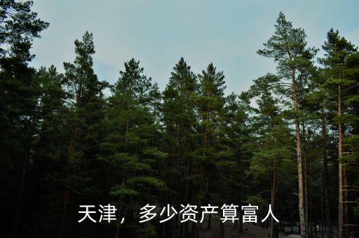 天津，多少資產(chǎn)算富人