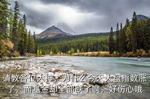 請(qǐng)教各位大神，為什么今天大盤指數(shù)漲了，而基金卻全部跌了啊，好傷心哦