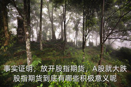 事實(shí)證明，放開(kāi)股指期貨，A股就大跌股指期貨到底有哪些積極意義呢