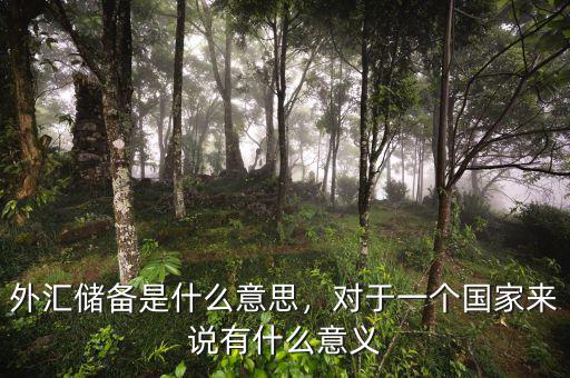 外匯儲備是什么意思，對于一個國家來說有什么意義