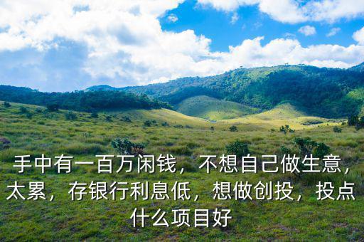 手中有一百萬閑錢，不想自己做生意，太累，存銀行利息低，想做創(chuàng)投，投點(diǎn)什么項(xiàng)目好