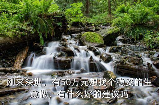 剛來深圳，有50萬元想找個穩(wěn)妥的生意做，有什么好的建議嗎