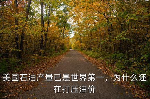 美國石油產(chǎn)量已是世界第一，為什么還在打壓油價