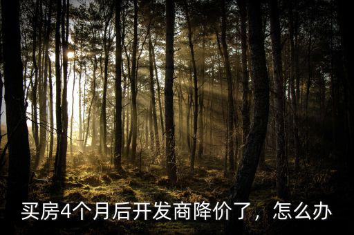買房4個月后開發(fā)商降價了，怎么辦