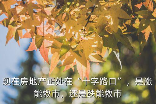 現(xiàn)在房地產(chǎn)正處在“十字路口”，是漲能救市，還是跌能救市