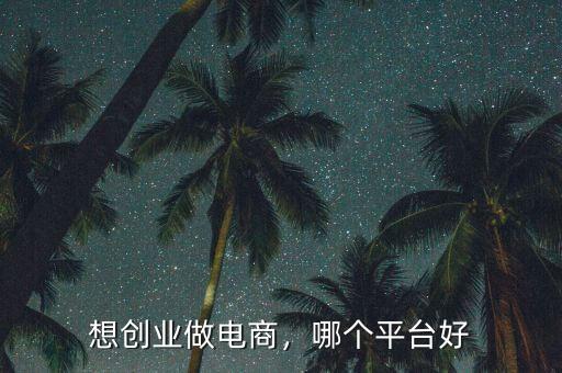 想創(chuàng)業(yè)做電商，哪個(gè)平臺(tái)好