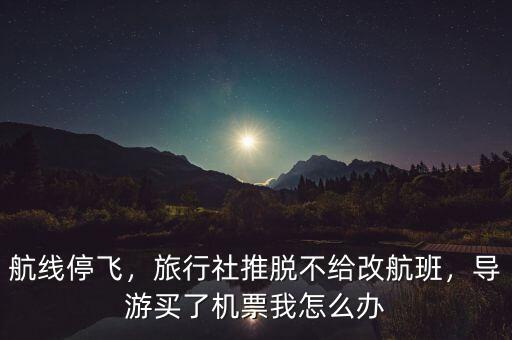 航線停飛，旅行社推脫不給改航班，導(dǎo)游買了機(jī)票我怎么辦