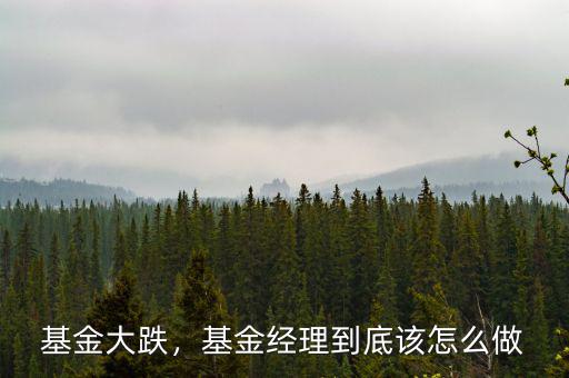 基金大跌，基金經(jīng)理到底該怎么做