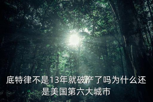 底特律破產后怎么辦,底特律已經(jīng)城市破產