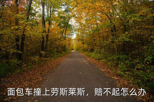 面包車撞上勞斯萊斯，賠不起怎么辦