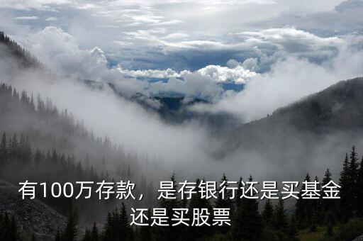 有100萬存款，是存銀行還是買基金還是買股票