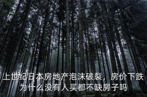 上世紀日本房地產(chǎn)泡沫破裂，房價下跌為什么沒有人買都不缺房子嗎