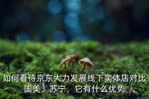 如何看待京東大力發(fā)展線下實體店對比國美、蘇寧，它有什么優(yōu)勢
